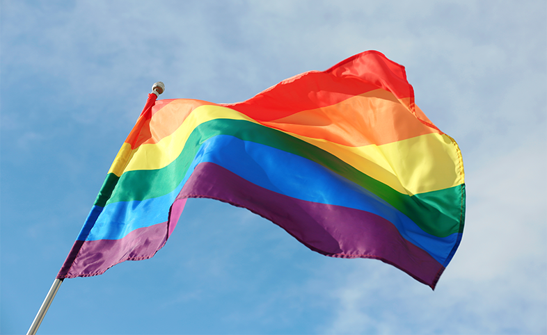 Lesbian, gay, bisexual and trans LGBT flag