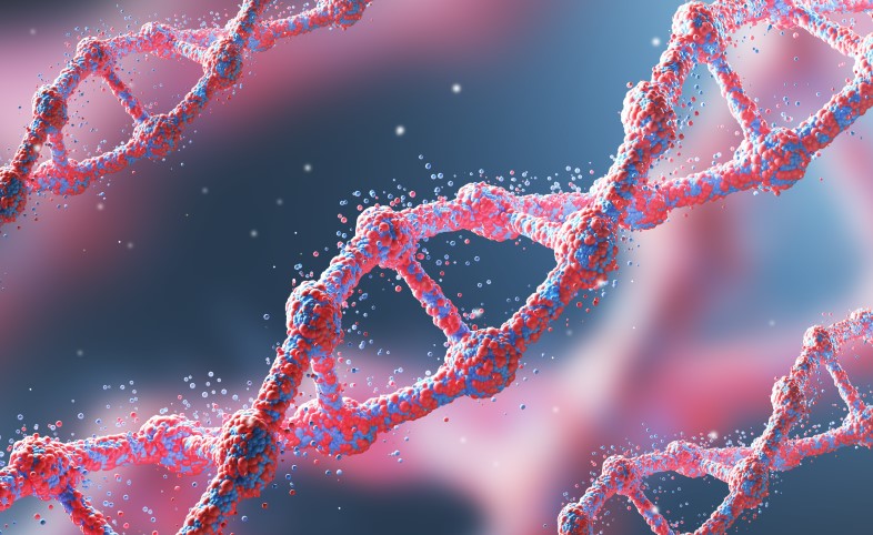 DNA in genomic research