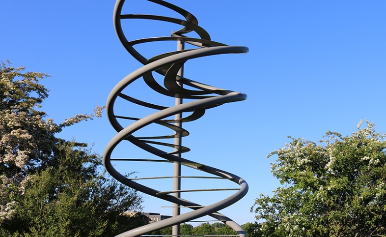 Innovation DNA path Cambridge