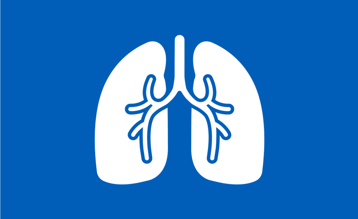 Lungs icon