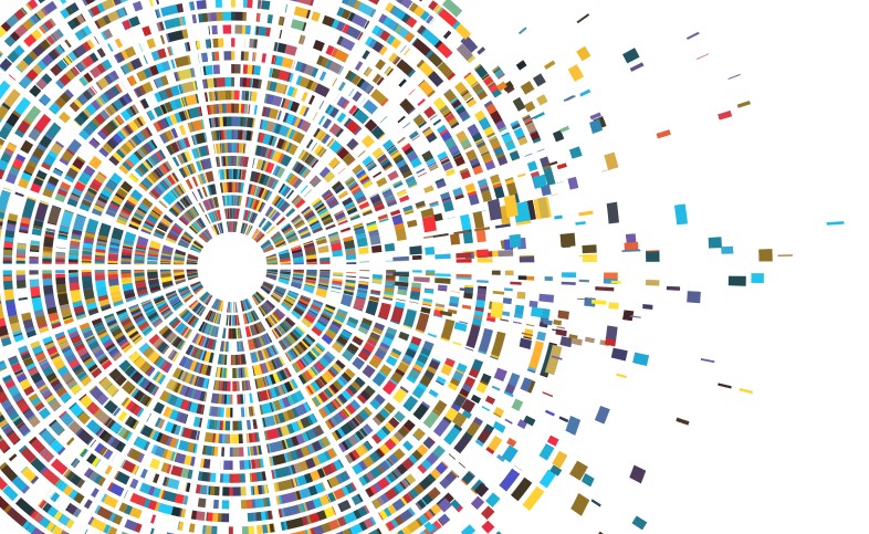 Human genome mapped